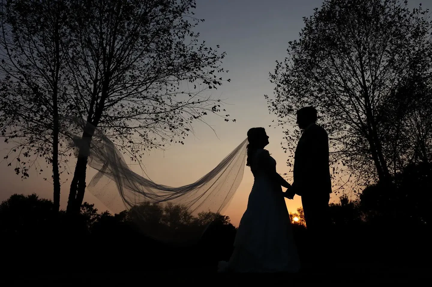 Gallery Image #slidesGrid76